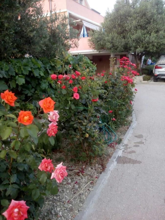 Apartment Olive Jovici  Esterno foto